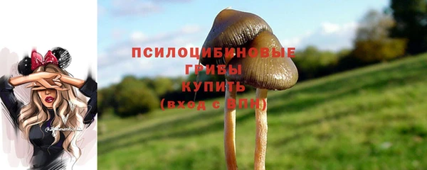 шишки Нефтегорск