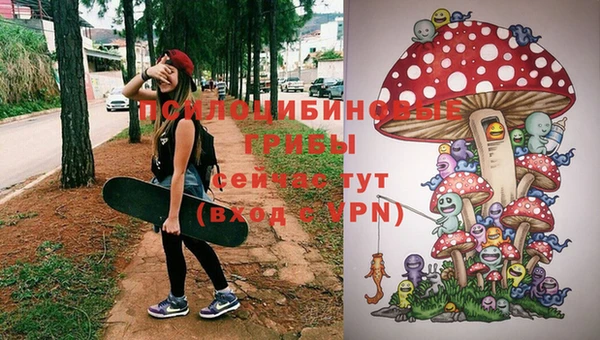 шишки Нефтегорск