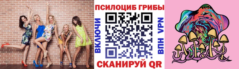 Галлюциногенные грибы Psilocybine cubensis  Темников 